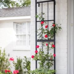 Wall Trellis Dresses Bland Walls